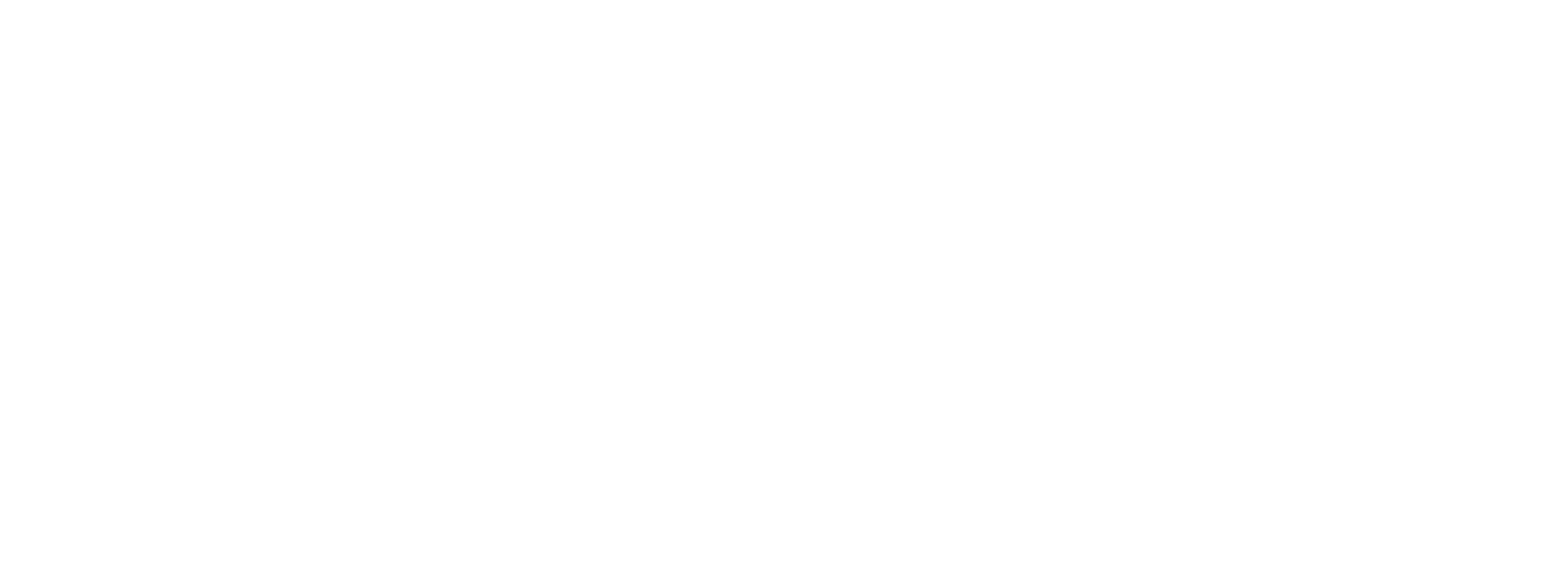 Trident M&A Advisors